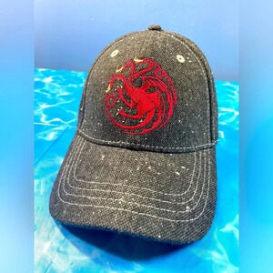 ☕️2 for  $25🥞 Game of Thrones - Targaryen Curved Brim Hat
